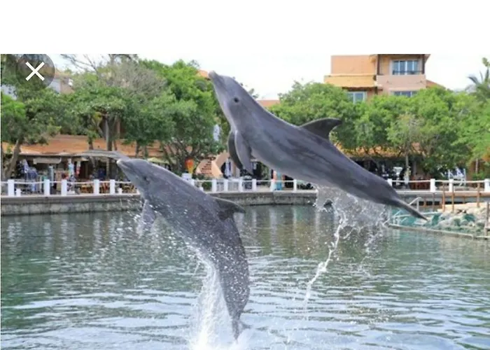 Casa Delfin *